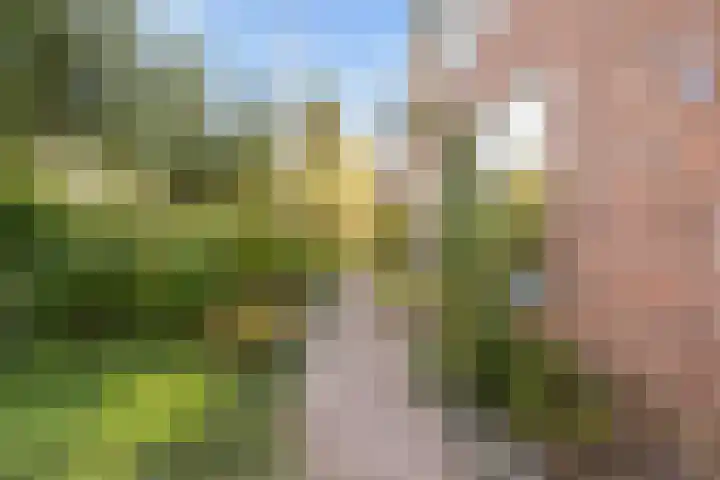 Van Voorthuijsenhof 48 Abcoude thumbnail 63