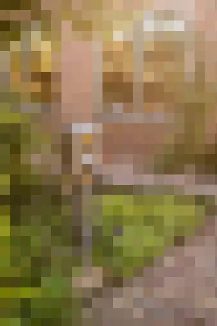 Van Voorthuijsenhof 48 Abcoude thumbnail 64