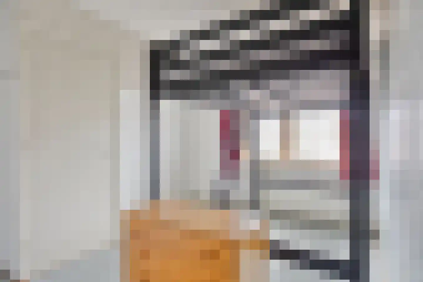 Van Voorthuijsenstraat 3 Domburg thumbnail 14