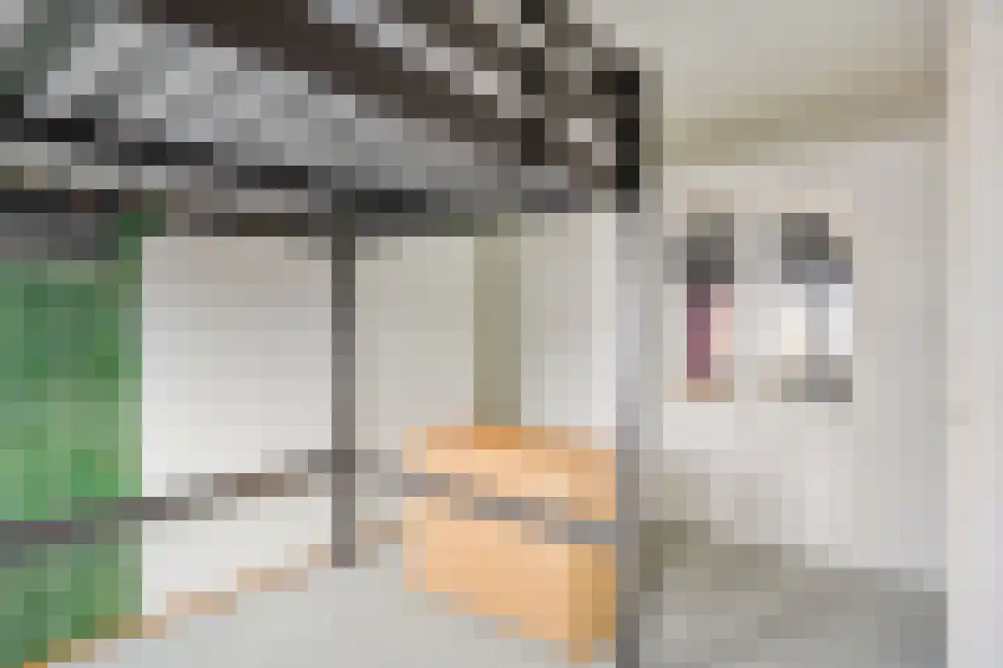 Van Voorthuijsenstraat 3 Domburg thumbnail 15