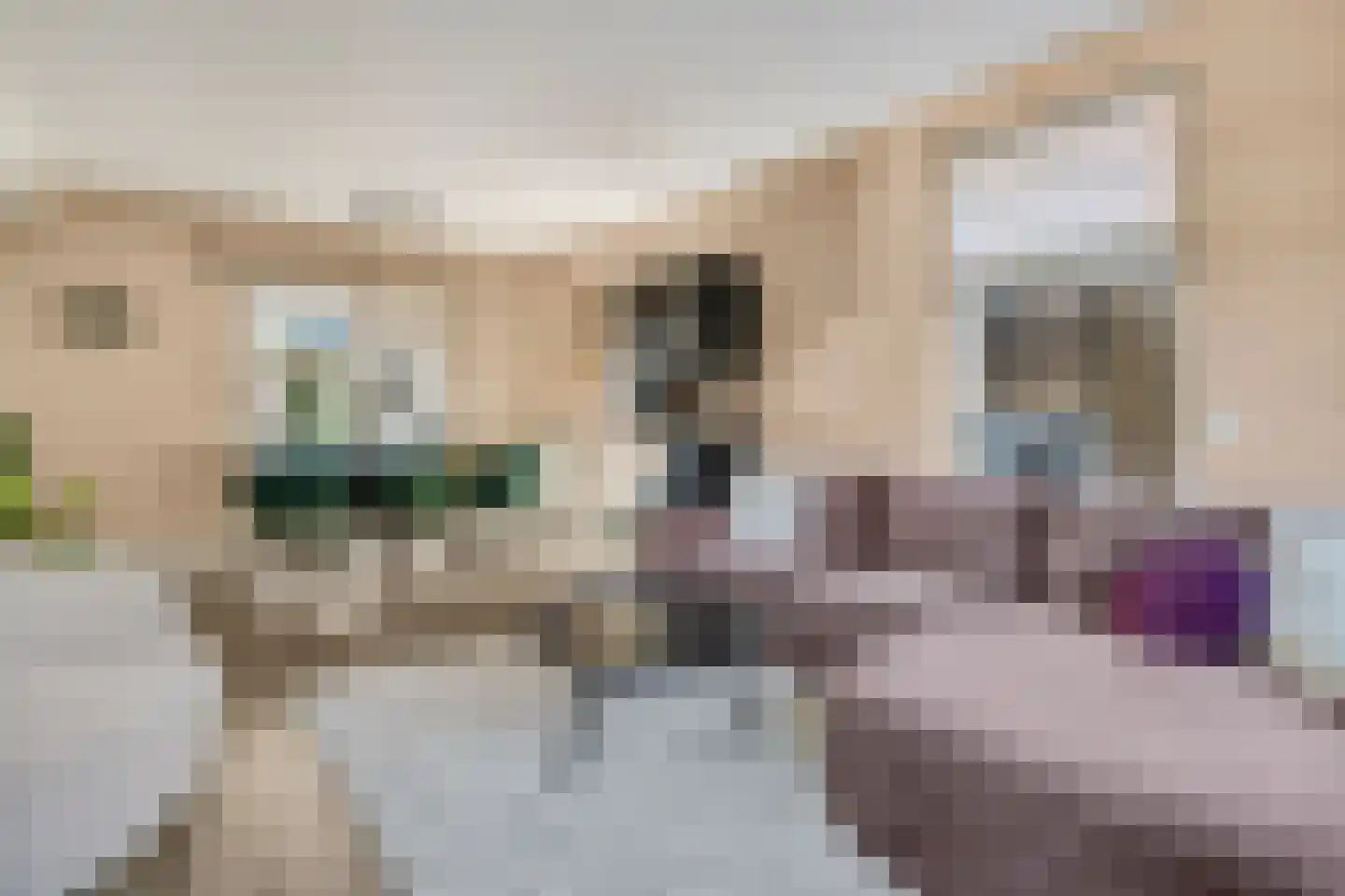 van Voorthuizenlaan 39 Ede thumbnail 10