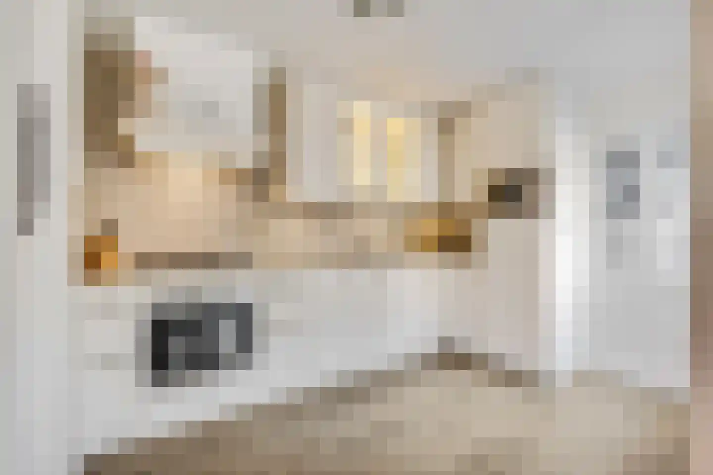 van Voorthuizenlaan 39 Ede thumbnail 14