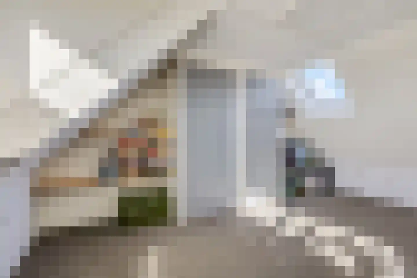 van Voorthuizenlaan 39 Ede thumbnail 30
