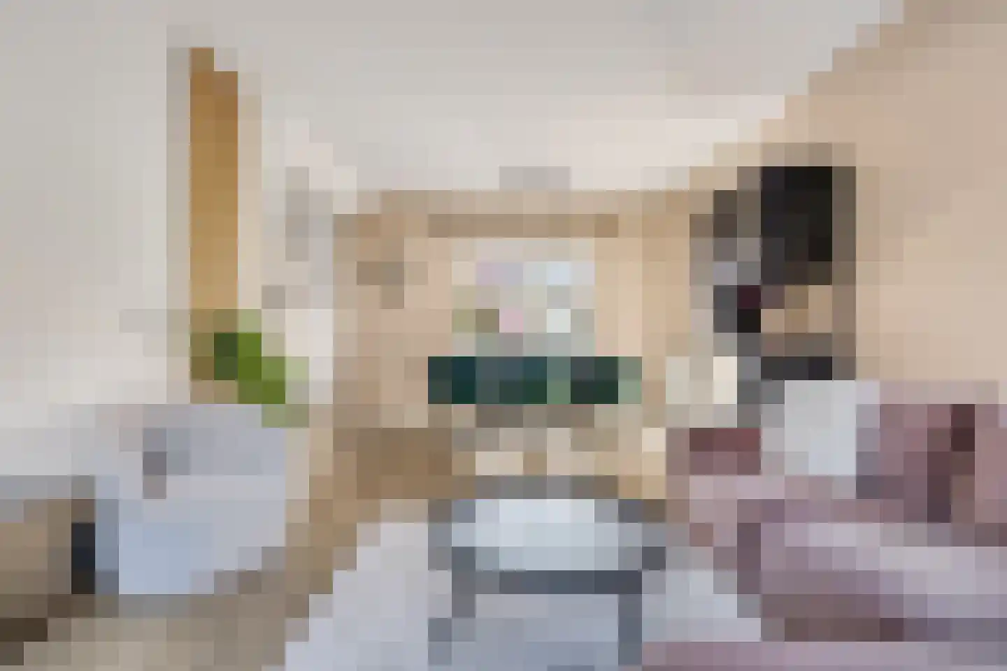 van Voorthuizenlaan 39 Ede thumbnail 8