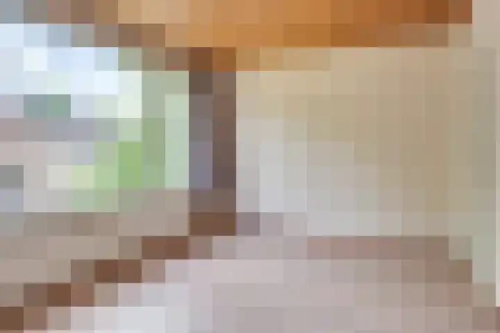 van Vorststraat 37 Eindhoven thumbnail 13