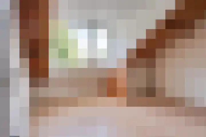 van Vorststraat 37 Eindhoven thumbnail 23