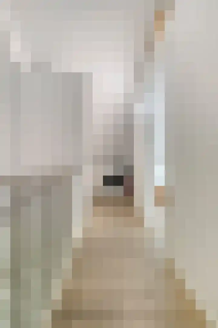 van Vorststraat 54 Eindhoven thumbnail 33