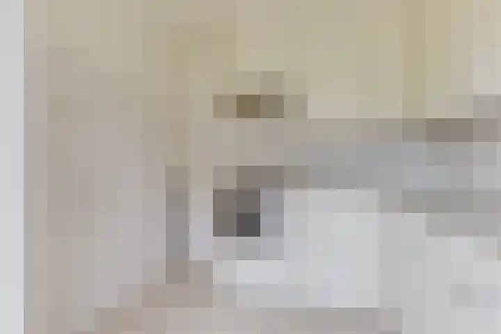 van Vosbergenlaan 12 Heerhugowaard thumbnail 14