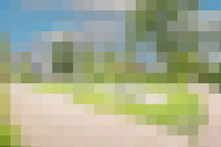 van Vosbergenlaan 12 Heerhugowaard thumbnail 34