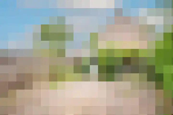 van Vosbergenlaan 12 Heerhugowaard thumbnail 4
