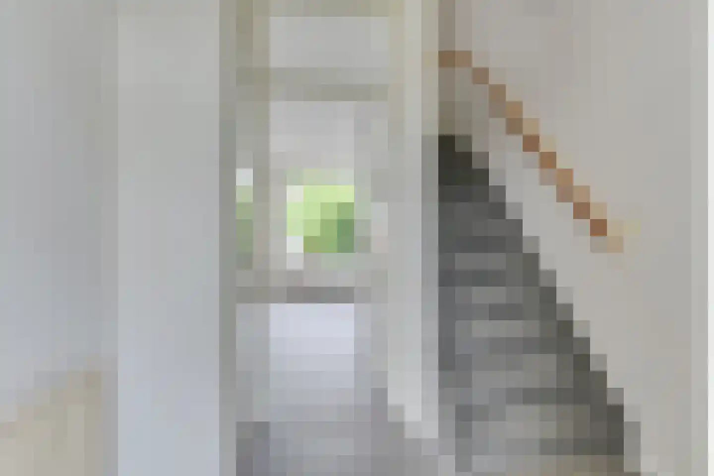 van Vosbergenlaan 5 Heerhugowaard thumbnail 6