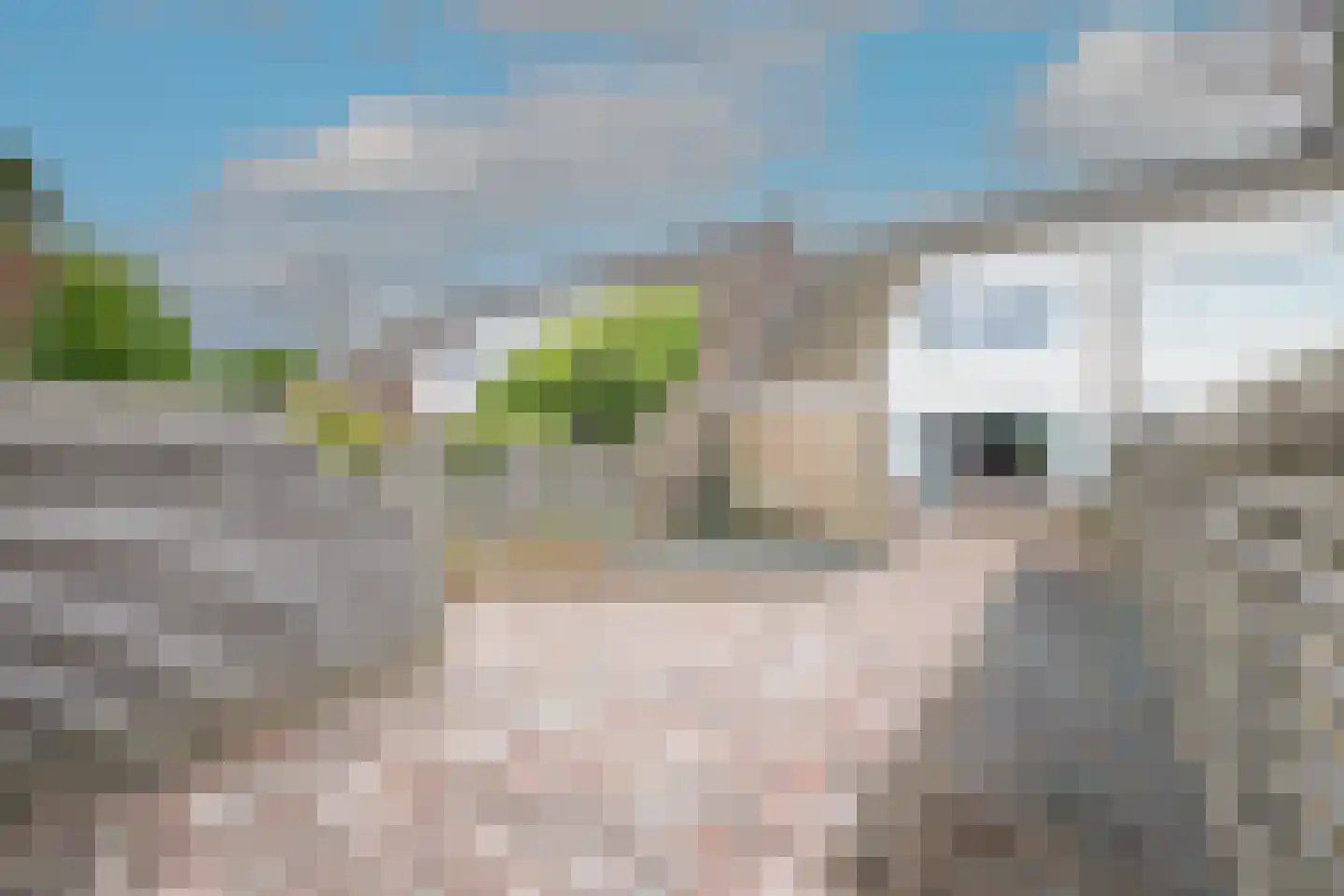 van Vosbergenlaan 8 Heerhugowaard thumbnail 39