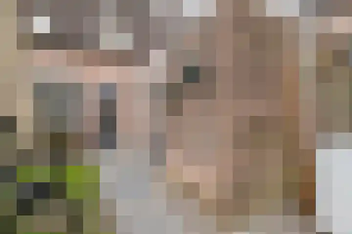 Van Vredenburchlaan 104 Bergschenhoek thumbnail 15