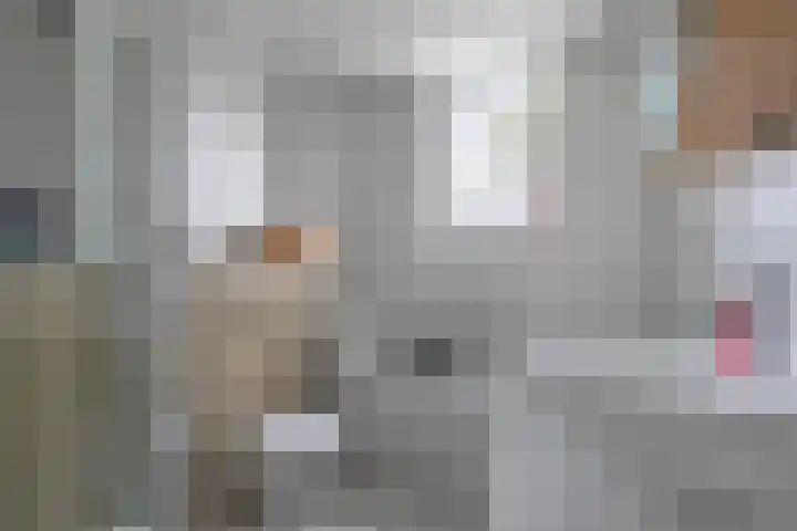 Van Vredenburchlaan 104 Bergschenhoek thumbnail 19