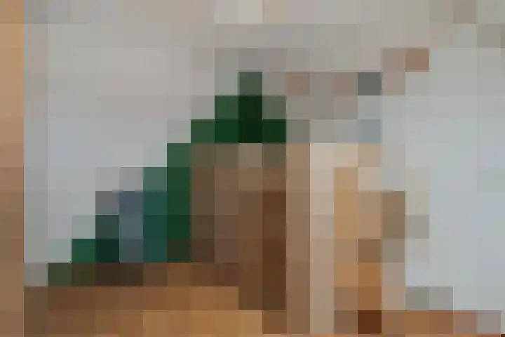 Van Vredenburchlaan 104 Bergschenhoek thumbnail 23