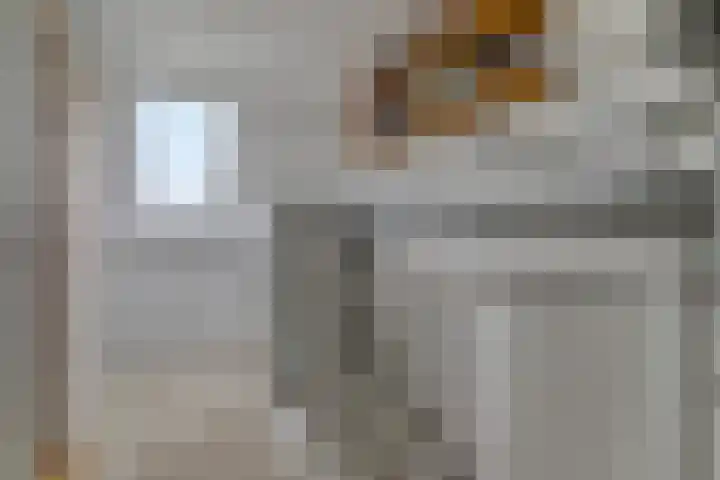 Van Vredenburchlaan 104 Bergschenhoek thumbnail 27