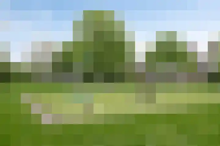 Van Vredenburchlaan 104 Bergschenhoek thumbnail 31
