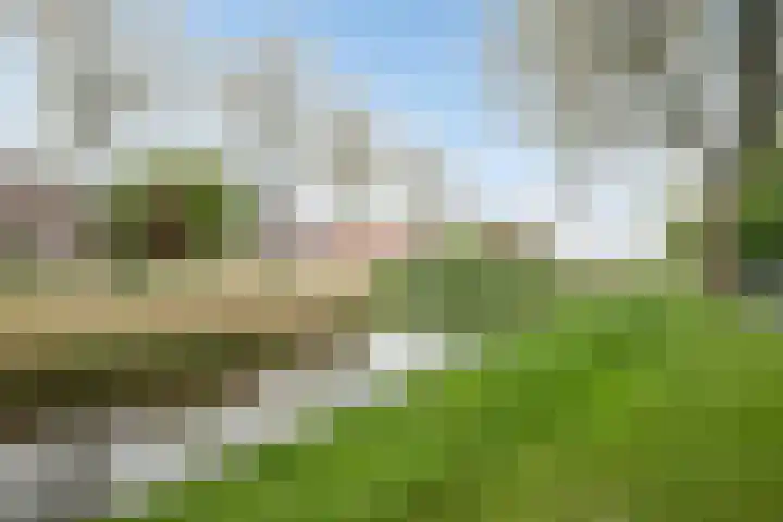 Van Vredenburchlaan 104 Bergschenhoek thumbnail 32