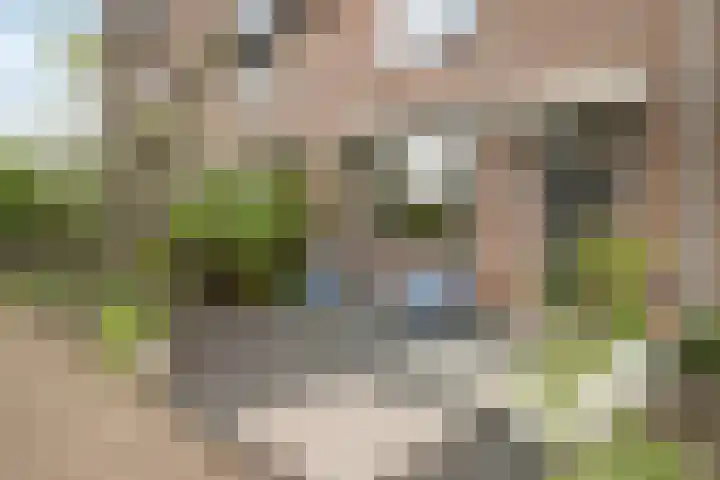 Van Vredenburchlaan 104 Bergschenhoek thumbnail 4