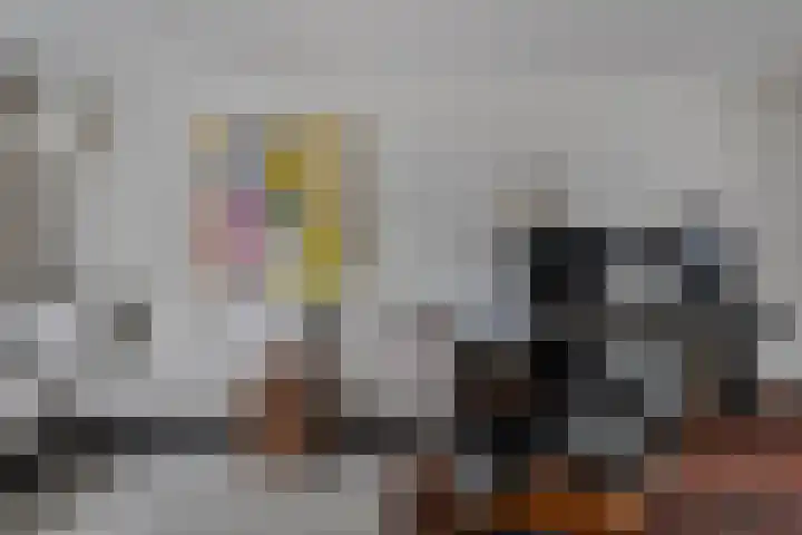 Van Vredenburchlaan 104 Bergschenhoek thumbnail 7
