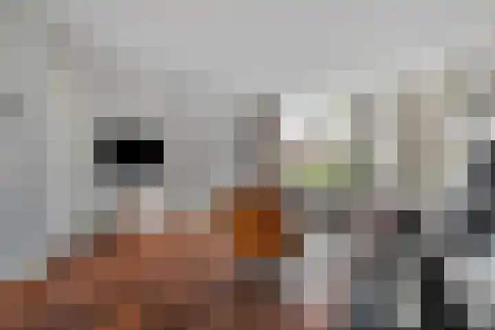 Van Vredenburchlaan 104 Bergschenhoek thumbnail 9