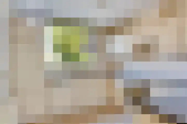 Van Vredenburchlaan 13 Bergschenhoek thumbnail 10