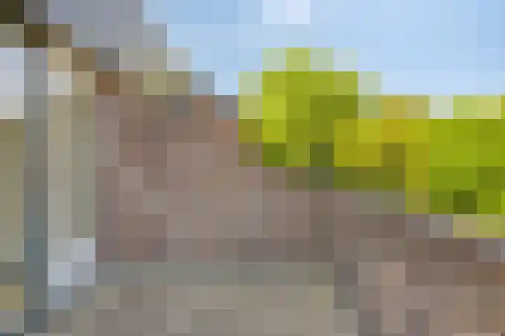 Van Vredenburchlaan 13 Bergschenhoek thumbnail 17