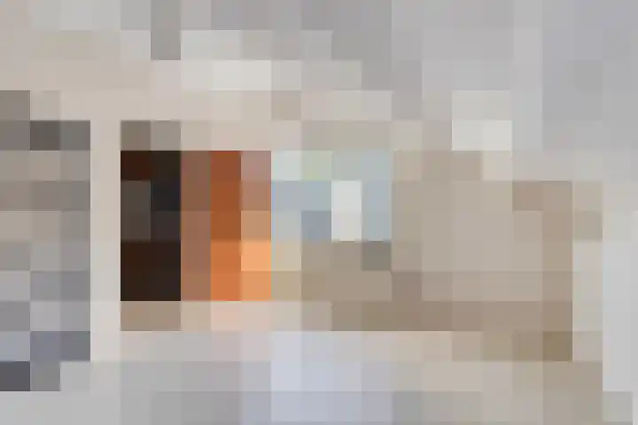 Van Vredenburchlaan 13 Bergschenhoek thumbnail 19