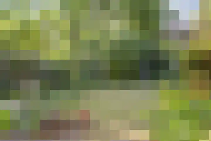 Van Vredenburchlaan 13 Bergschenhoek thumbnail 20