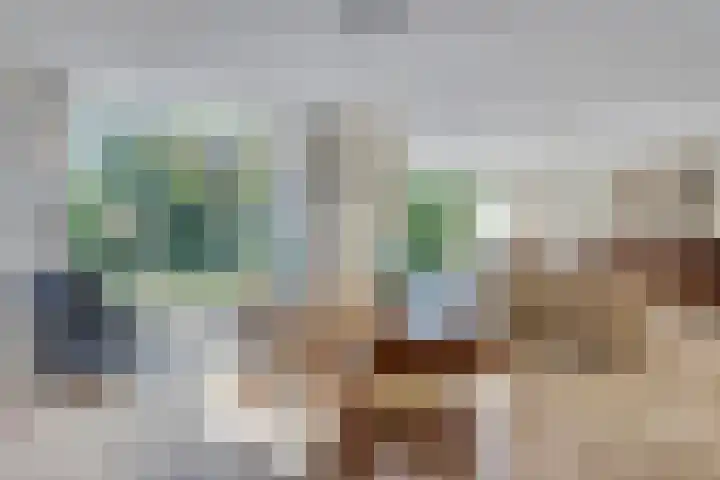 Van Vredenburchlaan 13 Bergschenhoek thumbnail 7