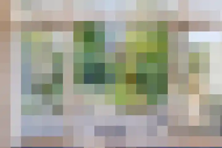 Van Vredenburchlaan 13 Bergschenhoek thumbnail 8