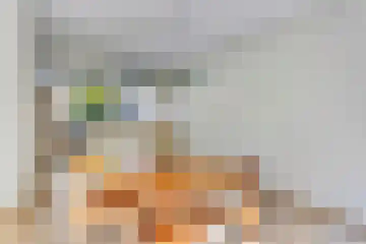 Van Vredenburchlaan 13 Bergschenhoek thumbnail 9