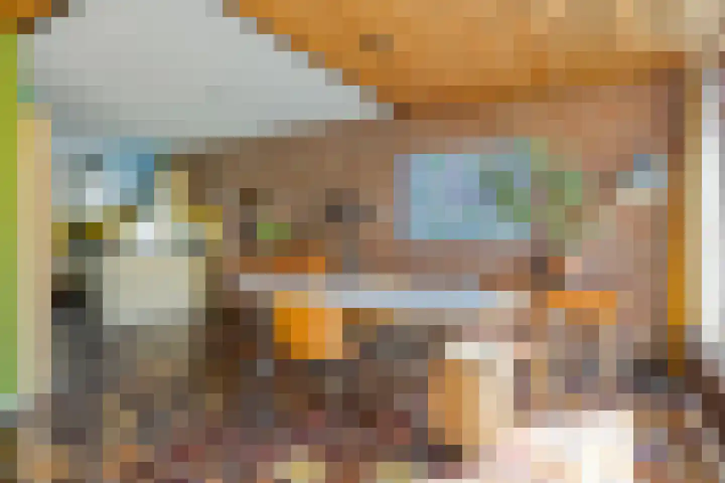 Van Vredenburchlaan 31 Bergschenhoek thumbnail 18