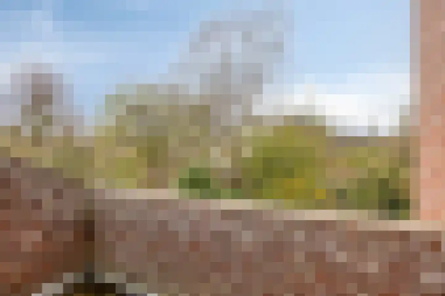 Van Vredenburchlaan 31 Bergschenhoek thumbnail 39