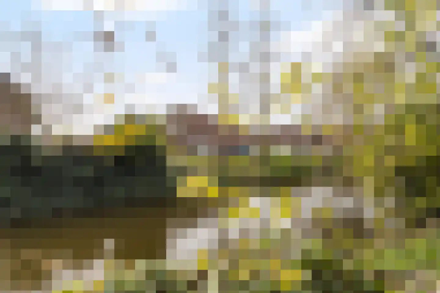 Van Vredenburchlaan 31 Bergschenhoek thumbnail 4