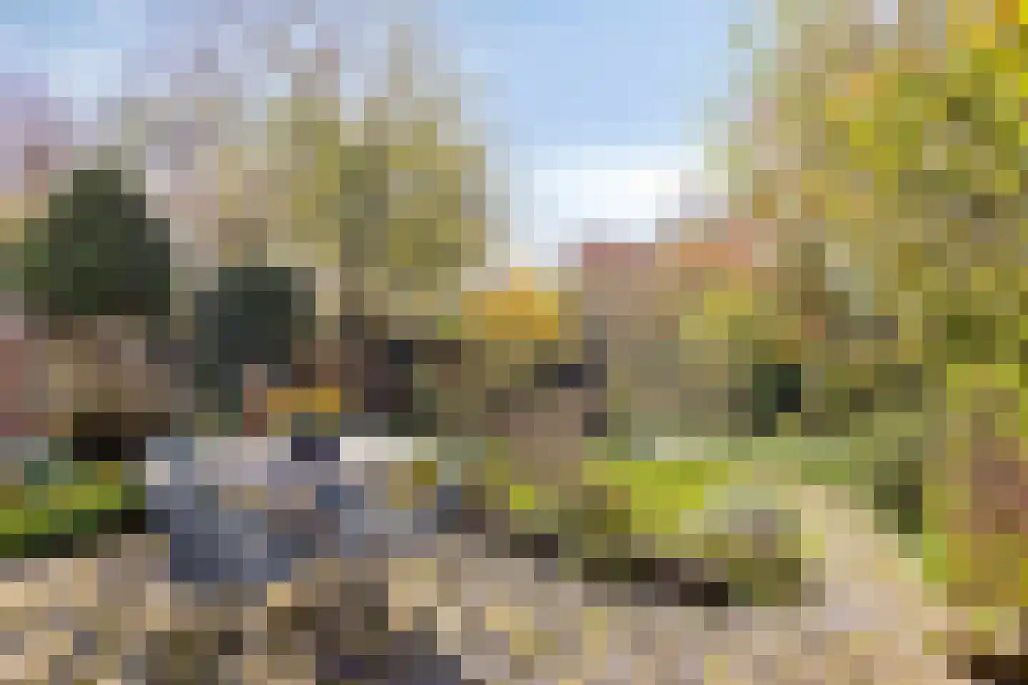 Van Vredenburchlaan 31 Bergschenhoek thumbnail 43