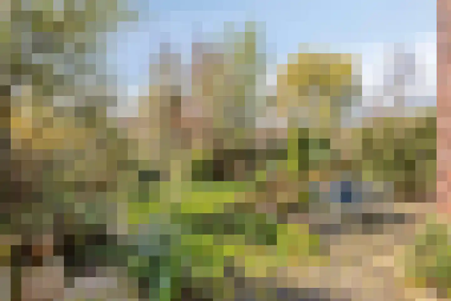 Van Vredenburchlaan 31 Bergschenhoek thumbnail 44