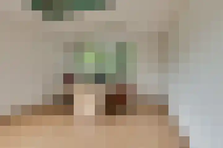 Van Vredenburchlaan 41 Bergschenhoek thumbnail 11