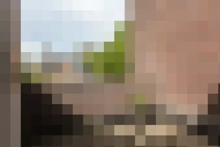 Van Vredenburchlaan 41 Bergschenhoek thumbnail 22
