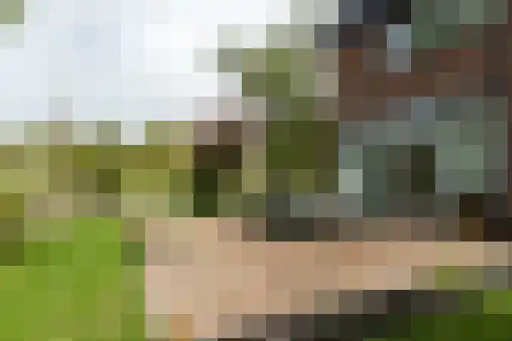 Van Vredenburchlaan 41 Bergschenhoek thumbnail 24