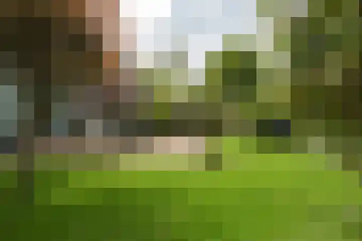 Van Vredenburchlaan 41 Bergschenhoek thumbnail 25