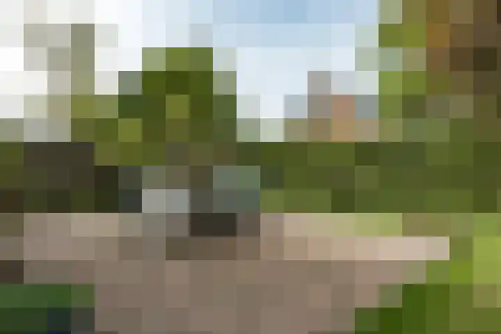 Van Vredenburchlaan 41 Bergschenhoek thumbnail 26