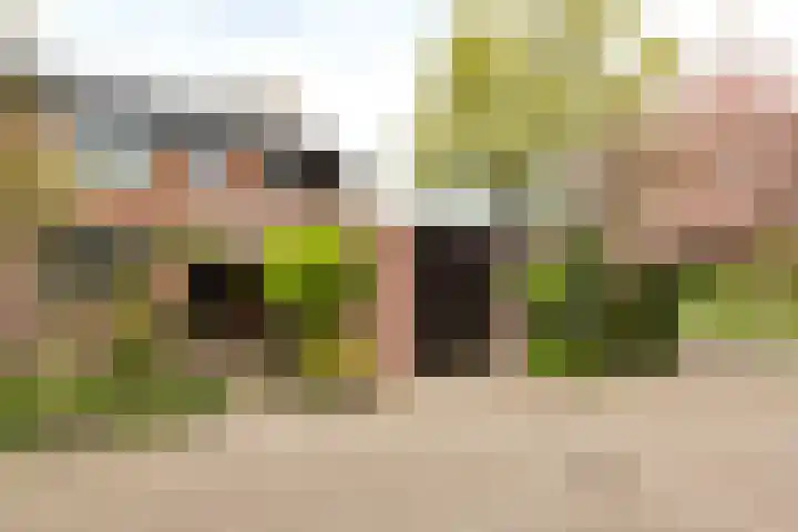 Van Vredenburchlaan 41 Bergschenhoek thumbnail 4
