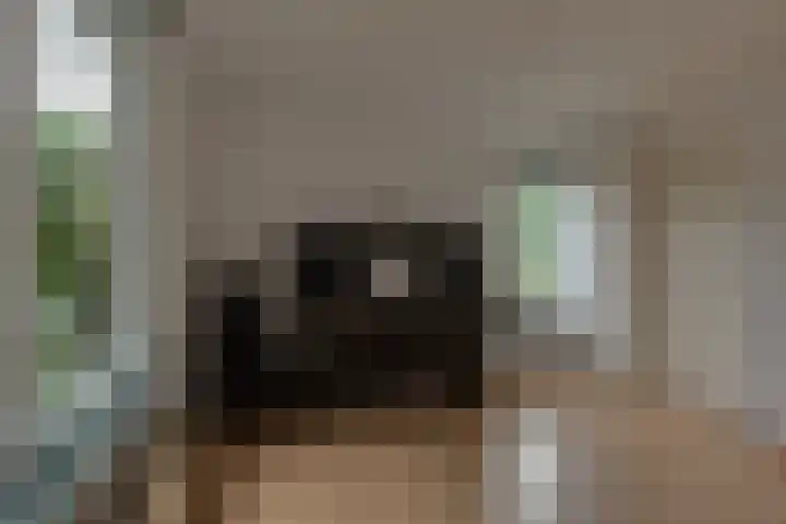 Van Vredenburchlaan 41 Bergschenhoek thumbnail 6