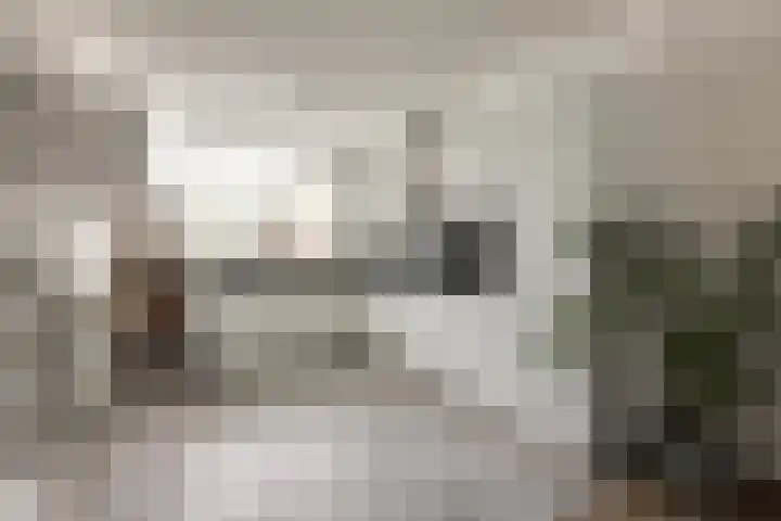 Van Vredenburchlaan 41 Bergschenhoek thumbnail 9