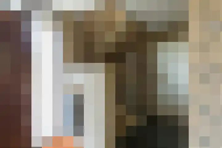 Van Vredenburchlaan 69 Bergschenhoek thumbnail 11