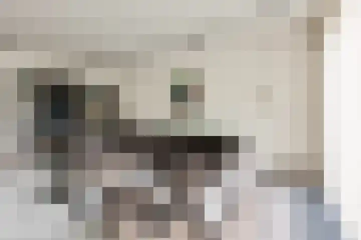 Van Vredenburchlaan 69 Bergschenhoek thumbnail 14