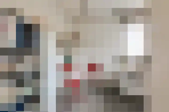Van Vredenburchlaan 69 Bergschenhoek thumbnail 23