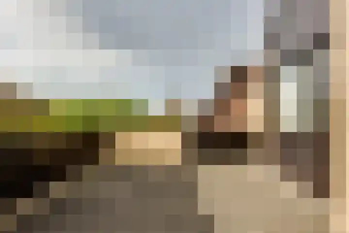 Van Vredenburchlaan 69 Bergschenhoek thumbnail 27
