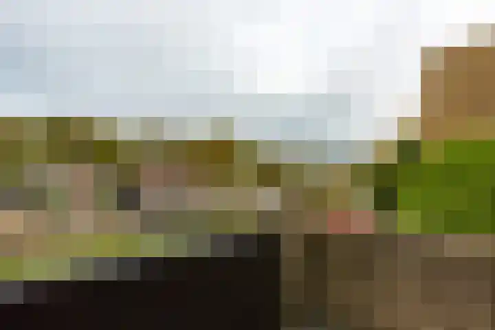 Van Vredenburchlaan 69 Bergschenhoek thumbnail 31